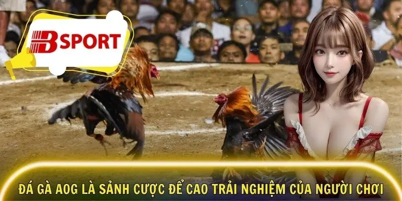Đá gà AOG là sảnh cược để cao trải nghiệm của người chơi